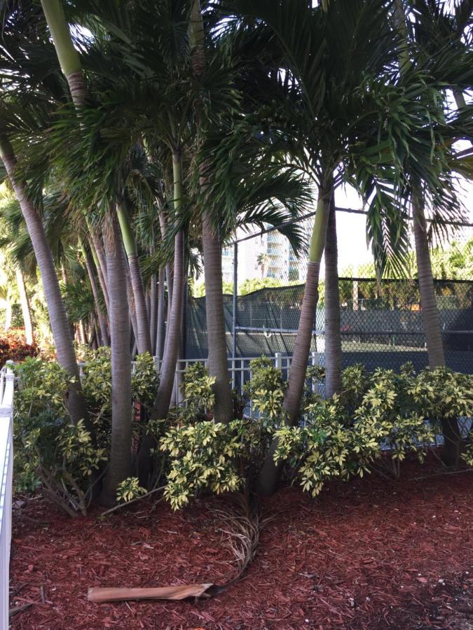 Апартаменти Disfruta Sunny Isles Ocean 1206 Str-02816 Маямі-Біч Екстер'єр фото